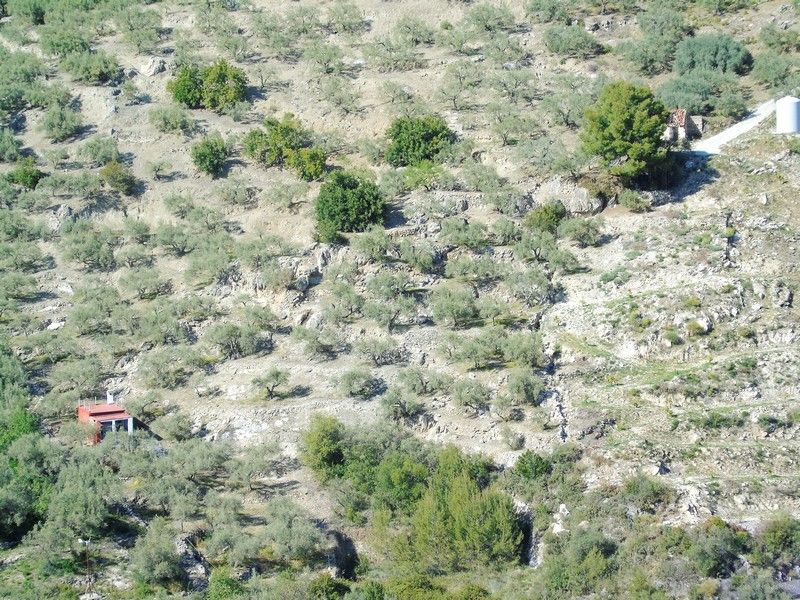Finca rústica en venda en Canillas de Albaida