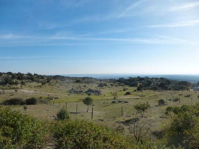 Residencial en venda en Las Rozas de Madrid