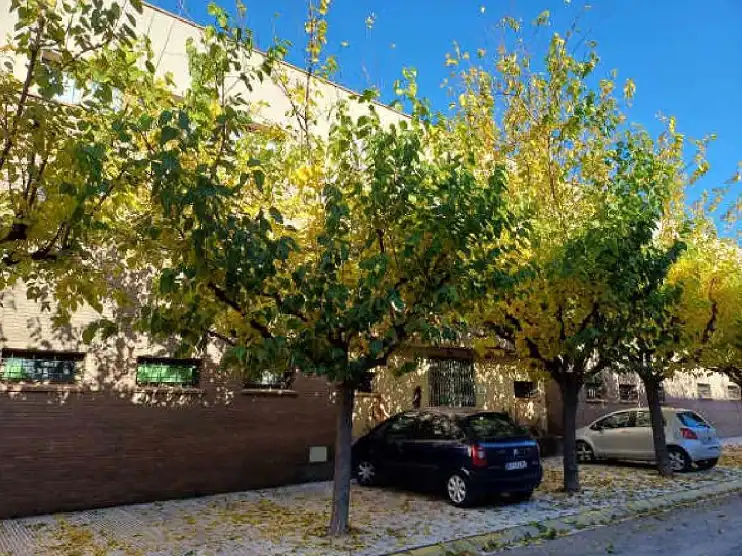 Exterior view of Industrial buildings for sale in Artés