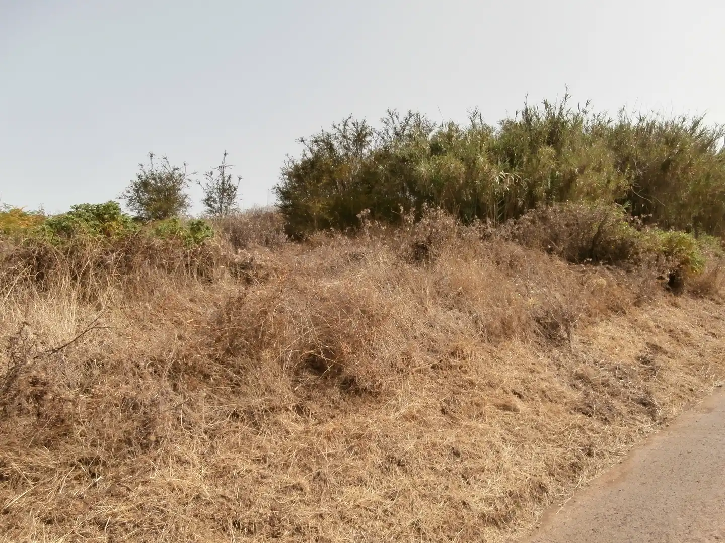 Finca rústica en venta en Camino Lomo el Marco, 41, Moya (Las Palmas)