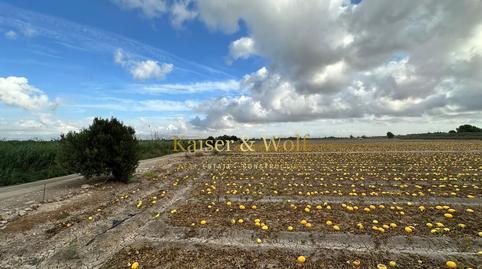 Foto 4 de Finca rústica en venta en Partida Marina, La Marina, Alicante