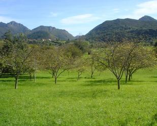 Finca rústica en venda en Cangas de Onís