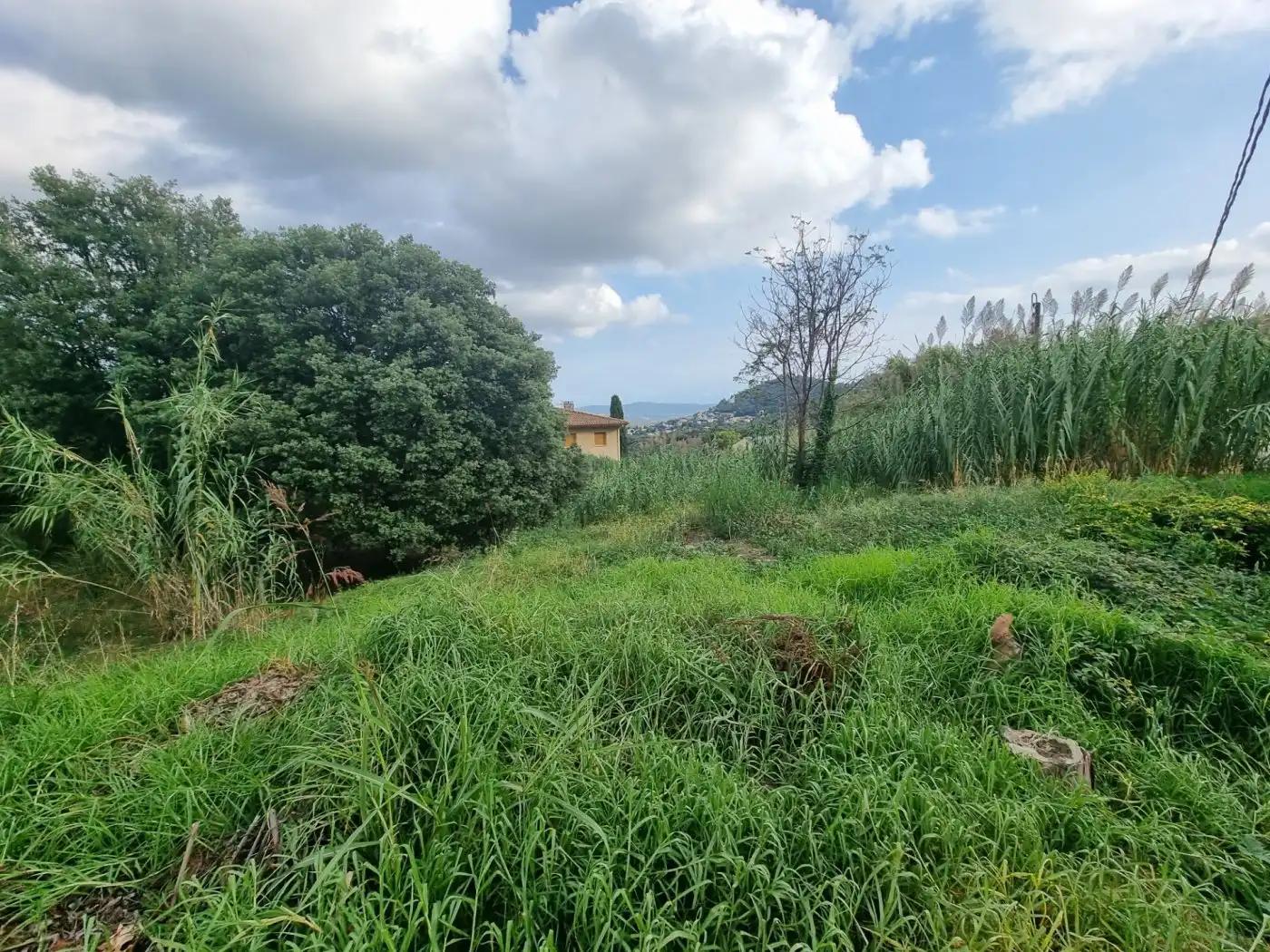 Lands and plots for sale in Calle BAGES, imagen 3
