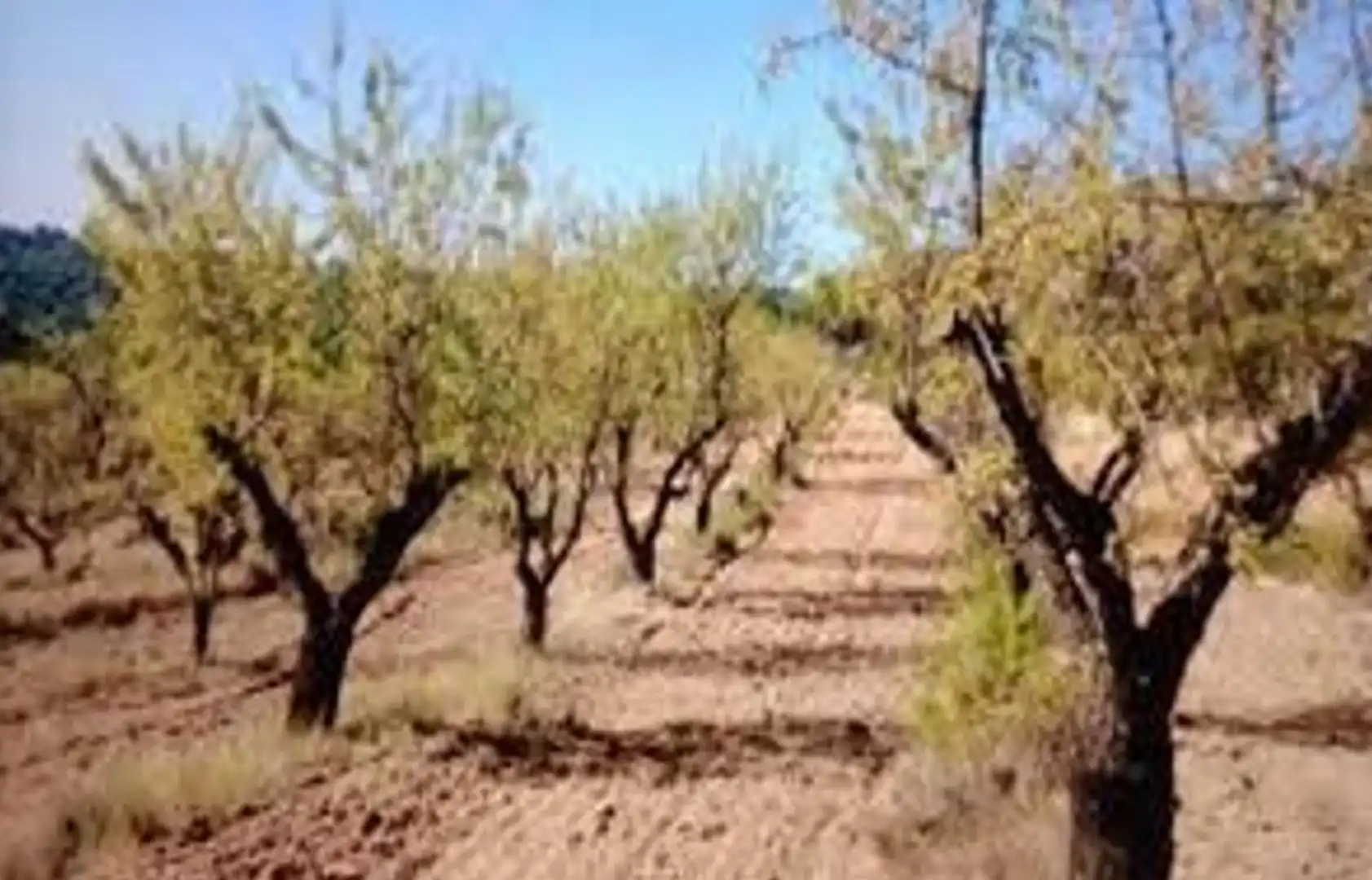 Country homes for sale in La Torre de l'Espanyol