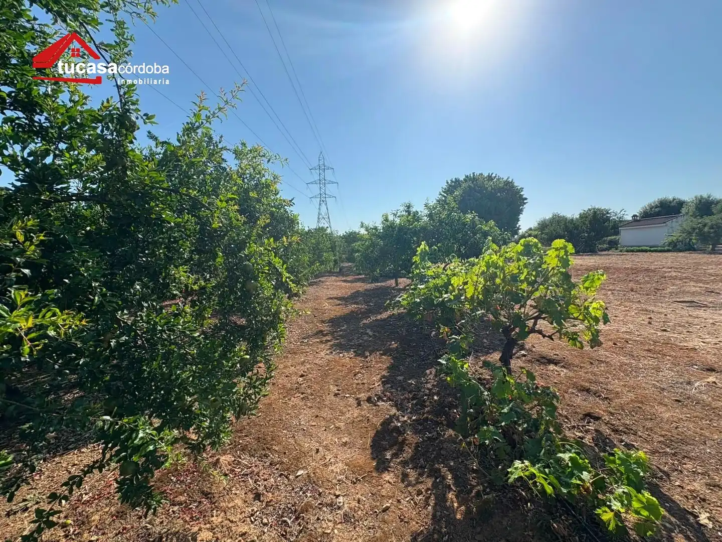 Maison rustique à vendre à Periurbano Oeste - Sierra, imagen 17