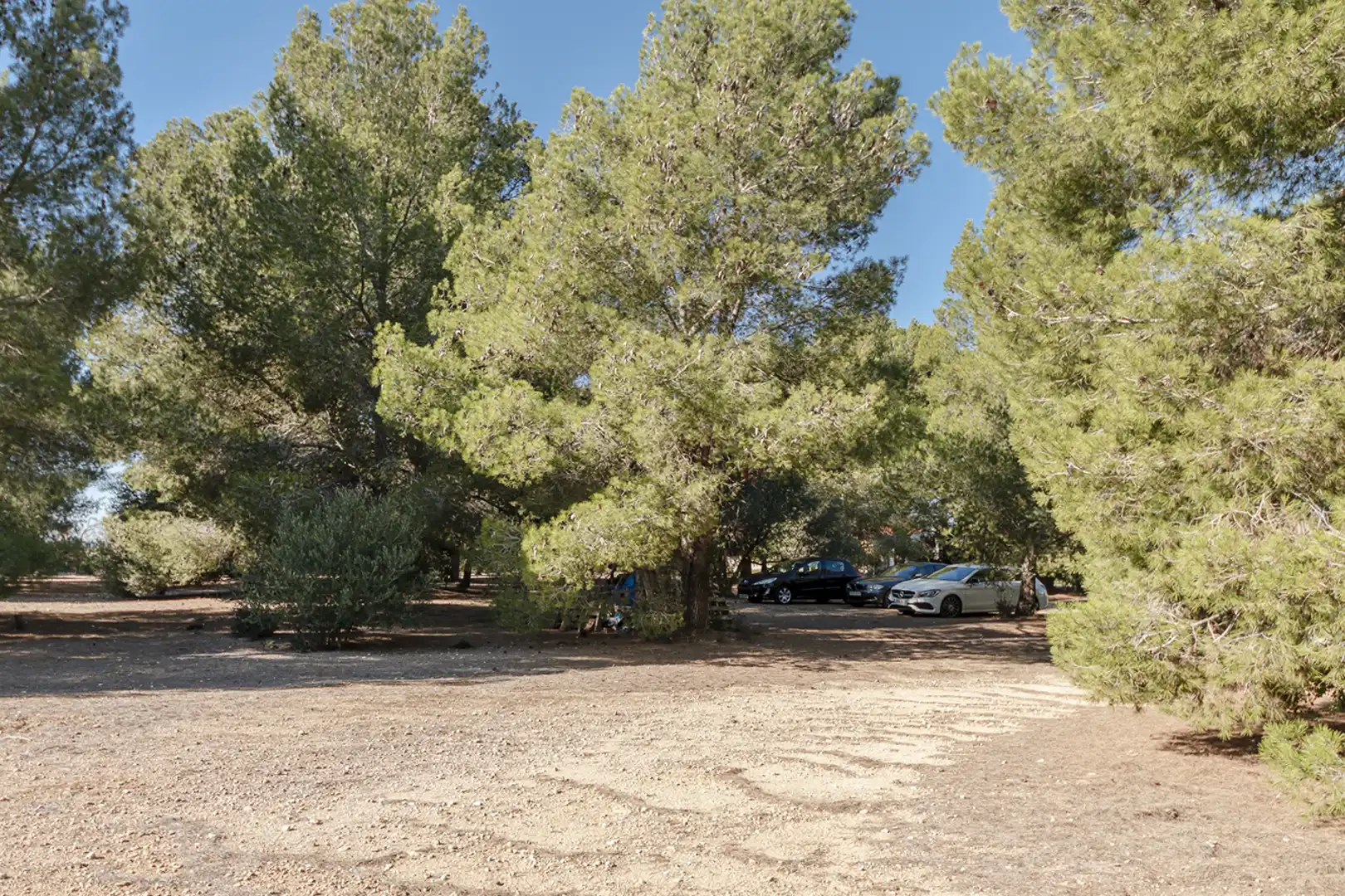 Aparcament de Finca rústica en venda en Banyeres del Penedès amb Jardí privat, Parquet i Piscina