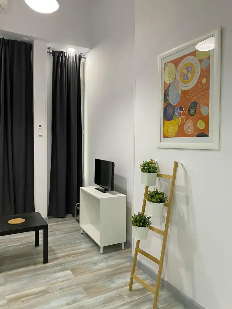 Sala de estar de Piso de alquiler en Madrid con Aire acondicionado, Calefacción y Amueblado
