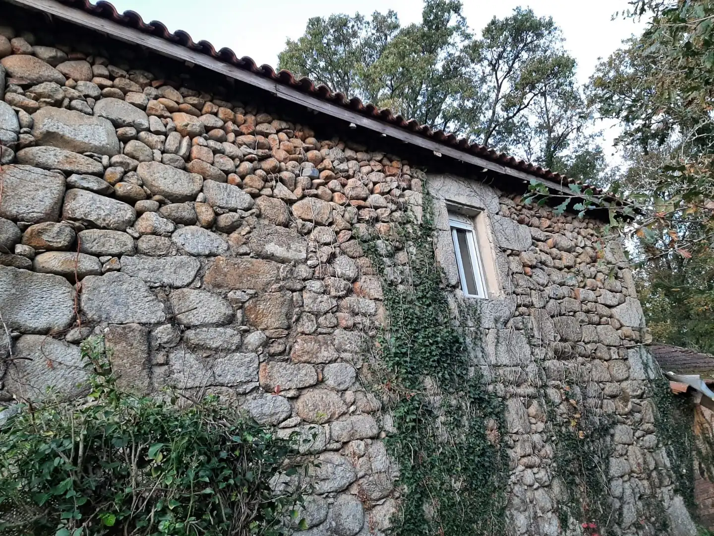 Vista exterior de Finca rústica en venta en Maceda con Trastero y Balcón