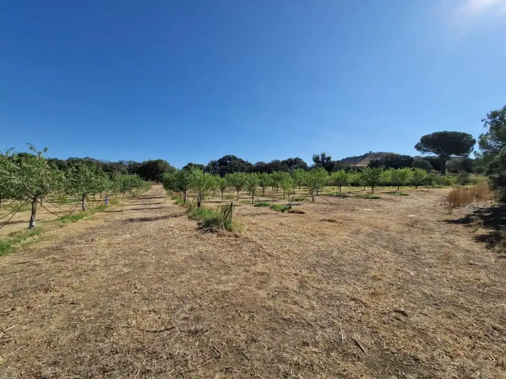 Terreno en venta en Binaced