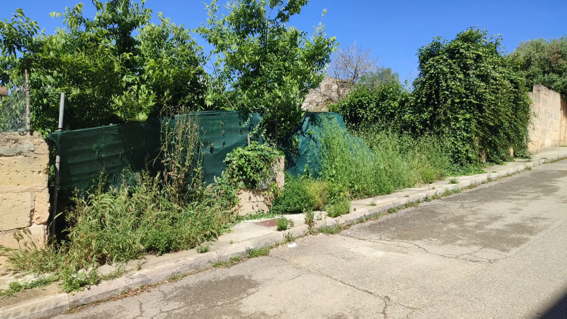 Residential land for sale in Avinguda de ses Escoles 25