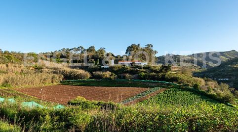 Foto 3 de Finca rústica en venta en Finca Hoya de la Cruz, Santa María de Guía de Gran Canaria, Las Palmas