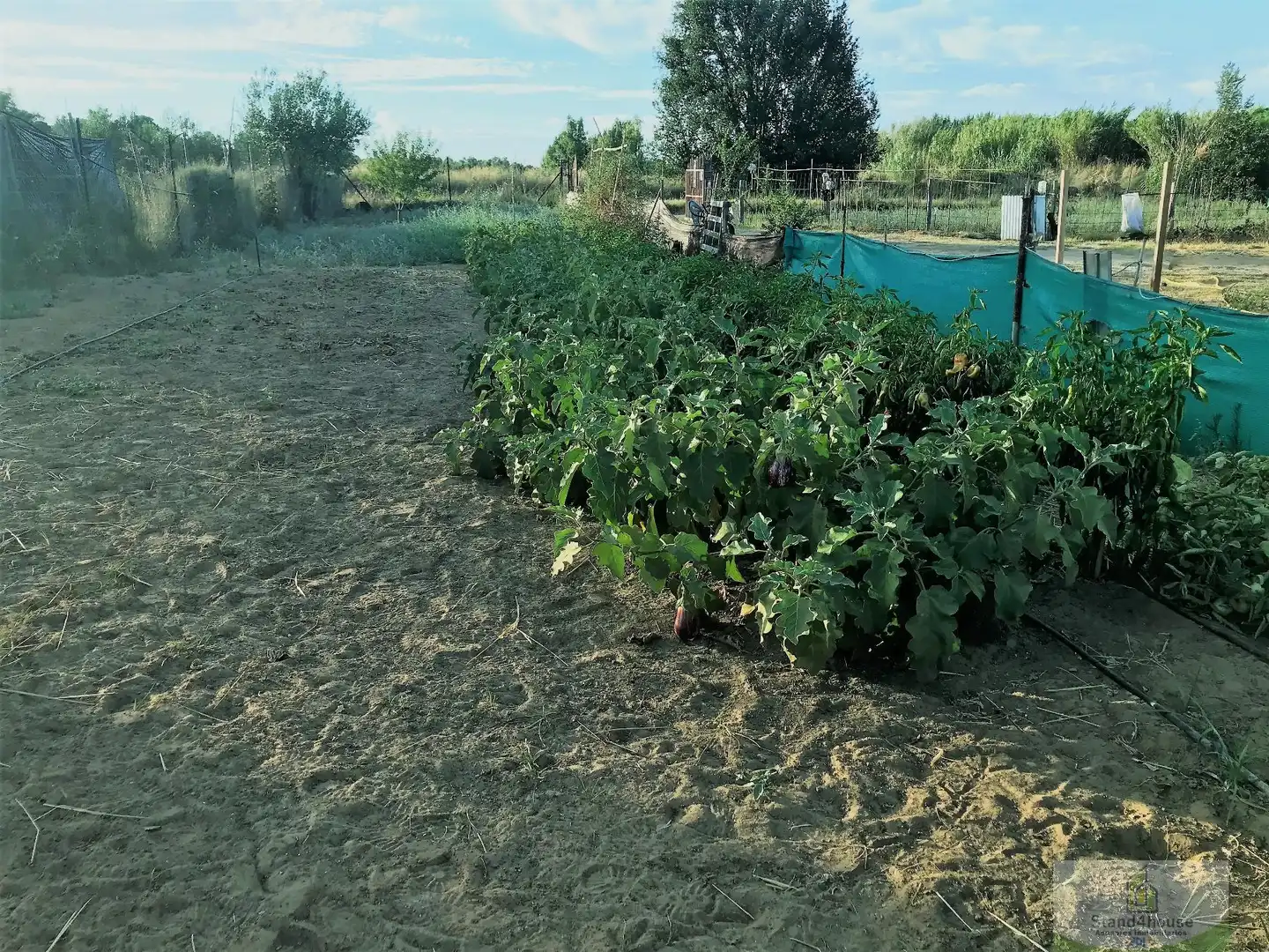 Jardín de Finca rústica en venta en Rociana del Condado