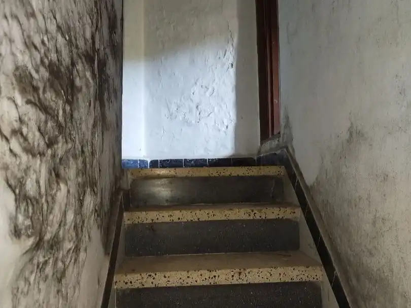 Casa o chalet en venta en Torreperogil