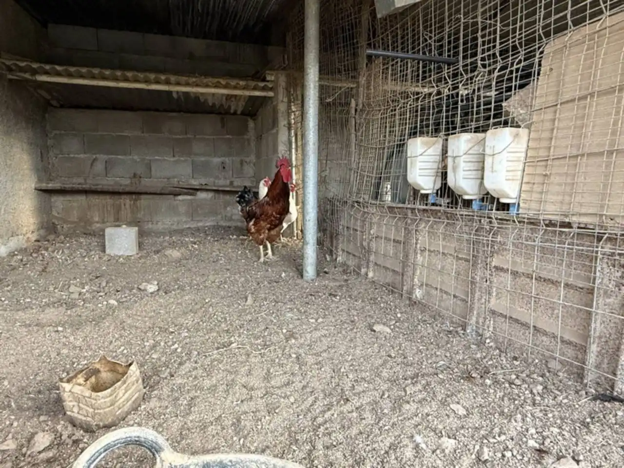 Vista exterior de Finca rústica en venta en Almuñécar con Jardín privado y Terraza