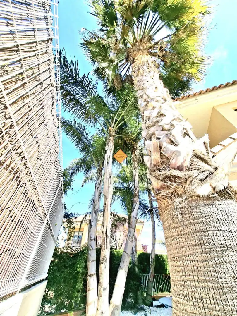 Vista exterior de Casa o chalet en venta en Paterna con Aire acondicionado, Calefacción y Jardín privado