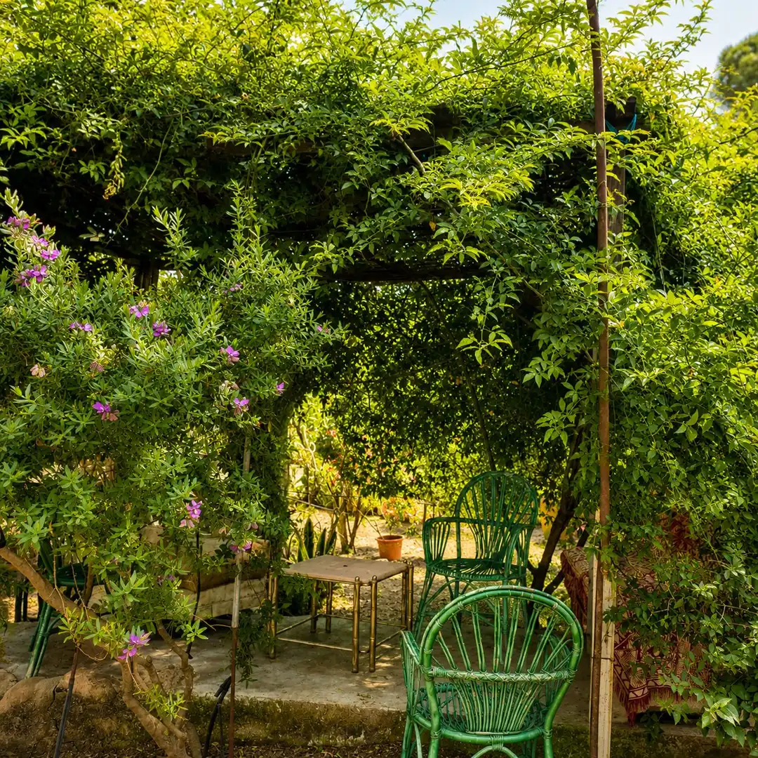 Jardí de Finca rústica en venda en Andújar amb Jardí privat i Terrassa