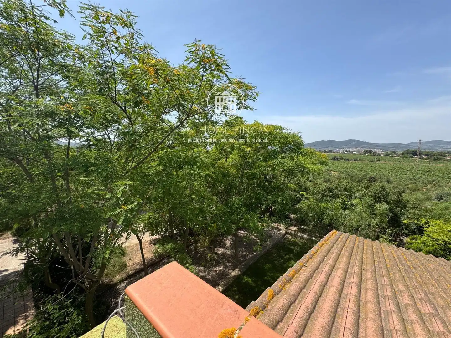 Villa mit Pool zum Verkauf in POLíGONO 7 PARAJE 65 JUNTO A CAL DENTISTA, imagen 64