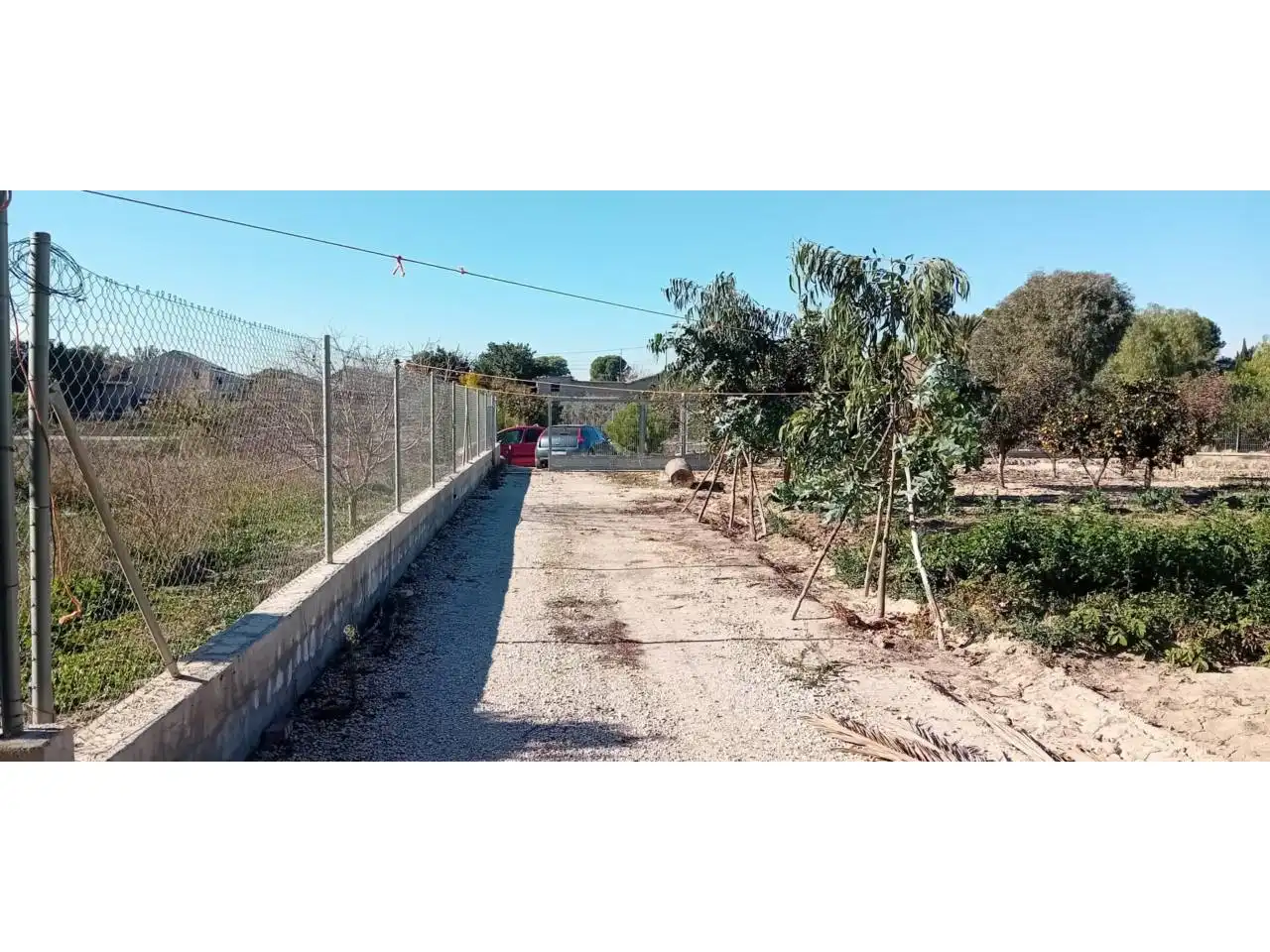 Terreny rústic en venda a Camino Paraje, imagen 10