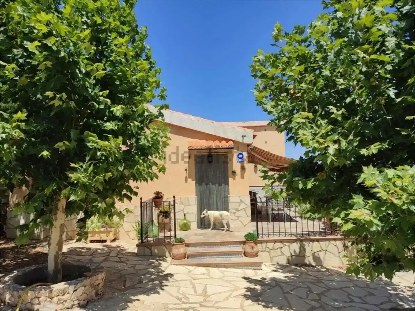 Vista exterior de Finca rústica en venda en Elche de la Sierra amb Jardí privat, Traster i Piscina