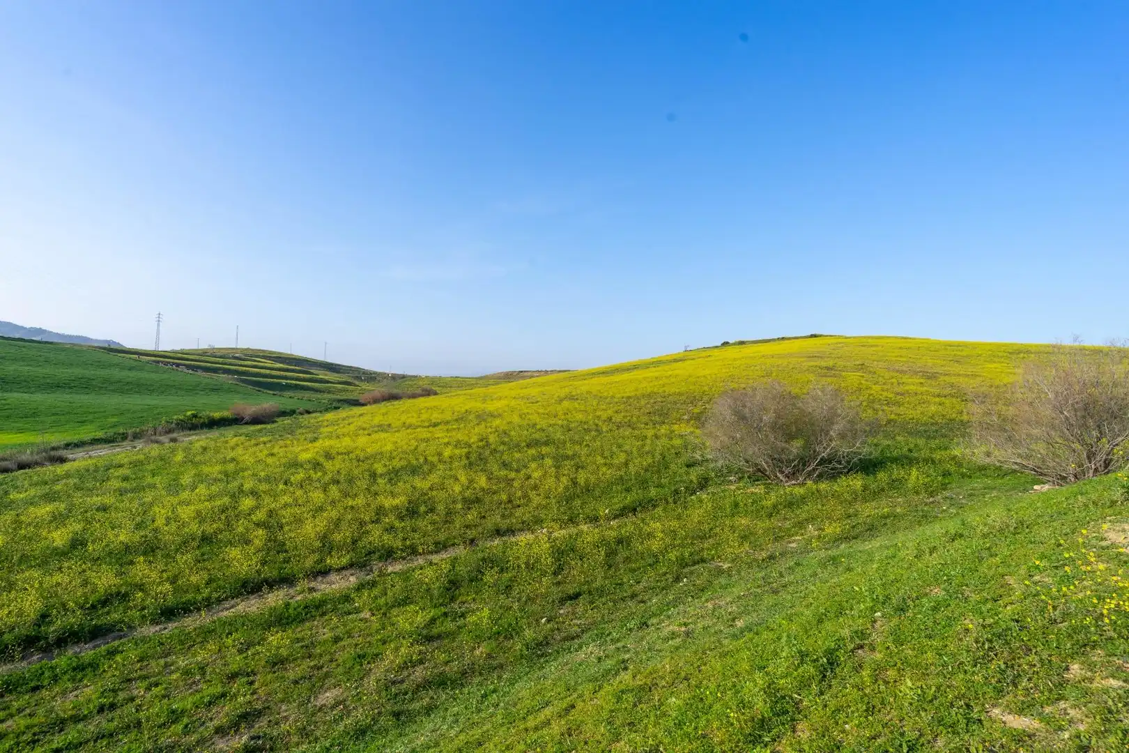 Rural land for sale in Casalpalma - Fahala, imagen 9