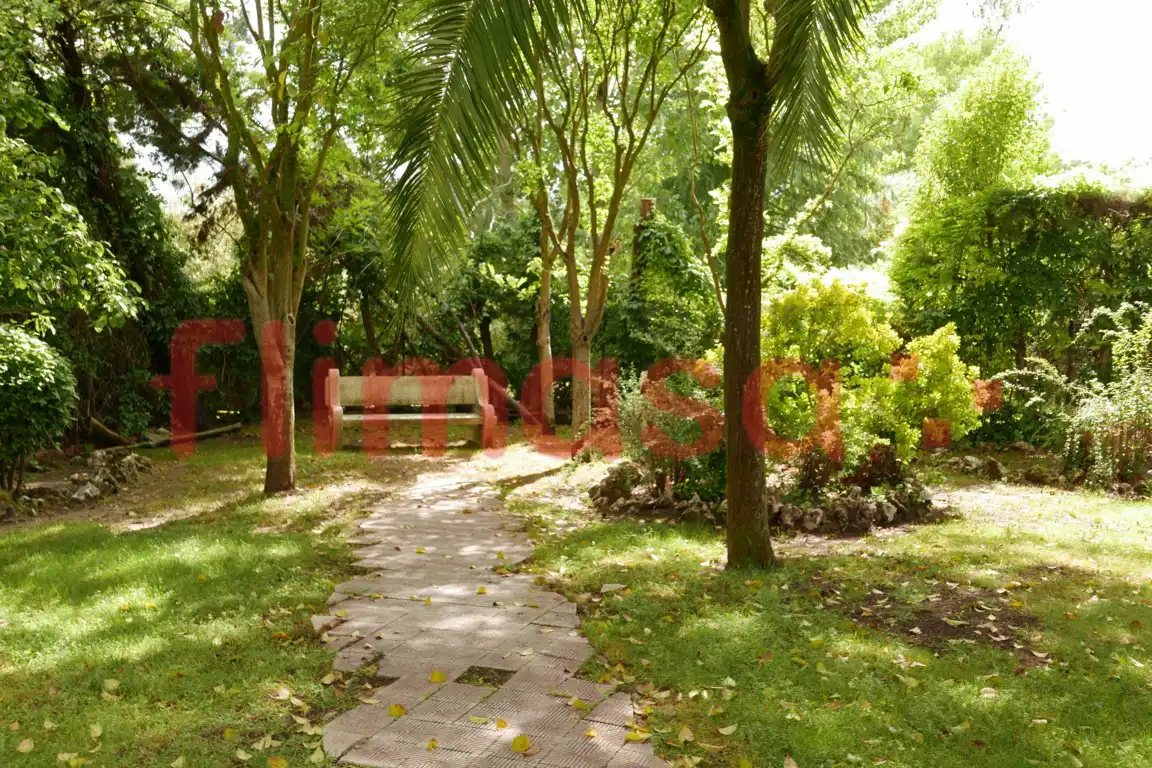 Jardín de Casa o chalet en venta en Villaviciosa de Odón