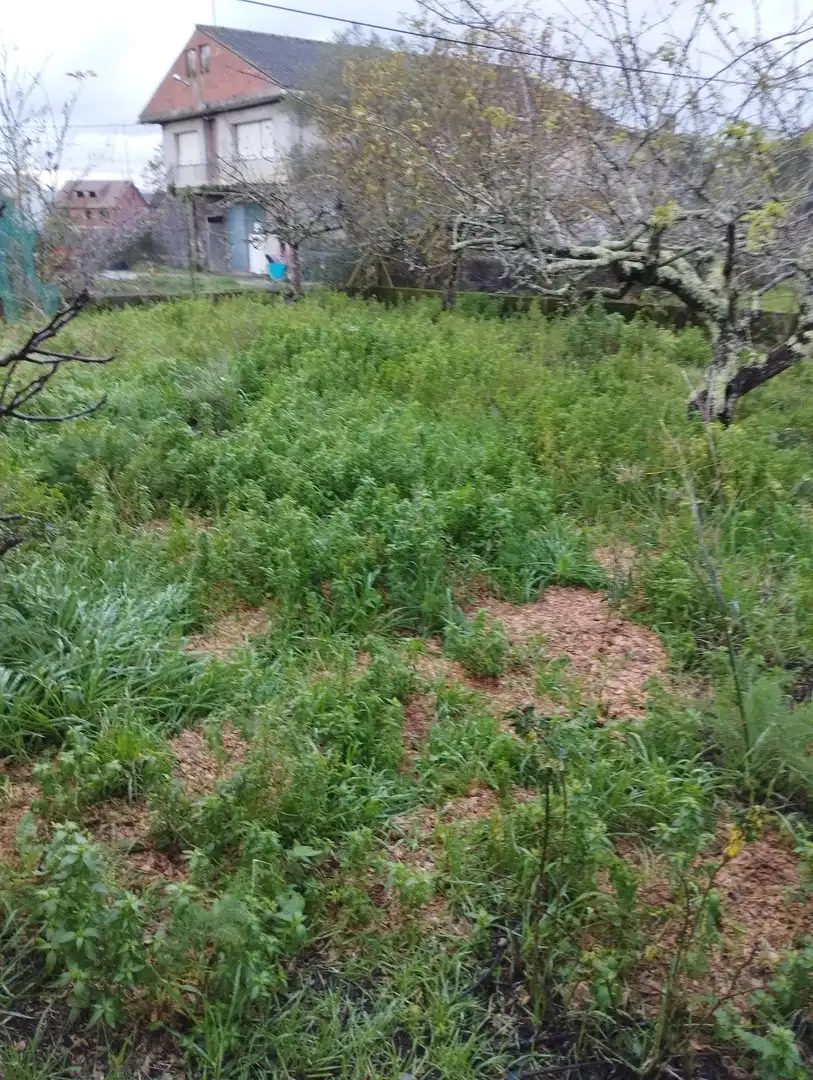 Detached homes for sale in Carballo  with Private garden and Balcony