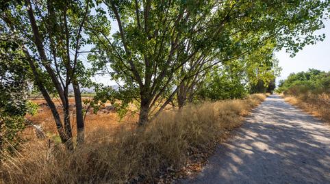 Foto 4 von Grundstücke zum Verkauf in  Marachatalan, 9, Parque Nueva Granada,  Granada Capital