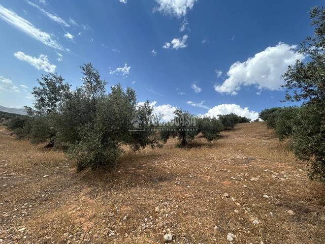 Terreno en Venta en Calicasas