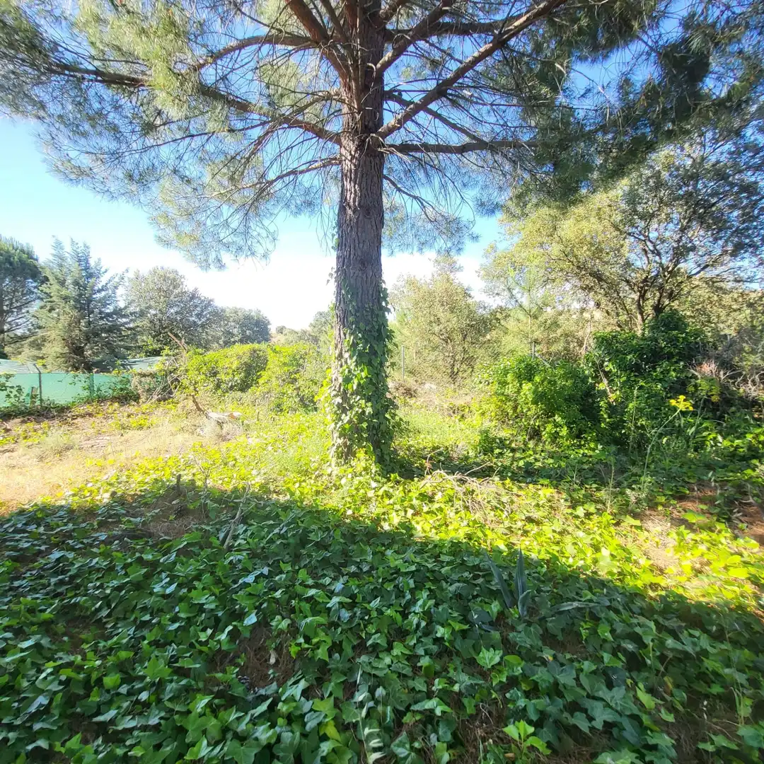 Residencial en venda en Peñalba de Ávila