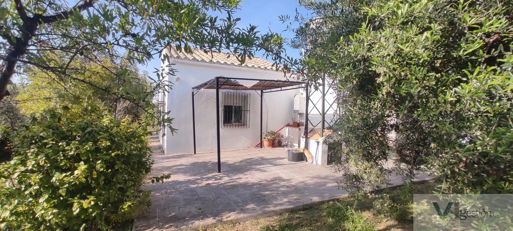 Casa rústica amb piscina en venda a El Coronil, imagen 10