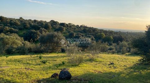 Foto 5 de Terreny en venda a Esparragalejo, Badajoz