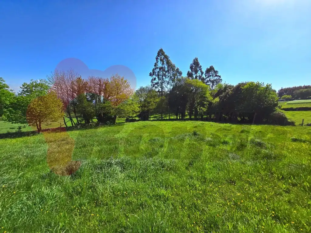 Casa o chalet en venta en Abadín