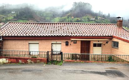 Vista exterior de Finca rústica en venda en Mieres (Asturias) amb Terrassa