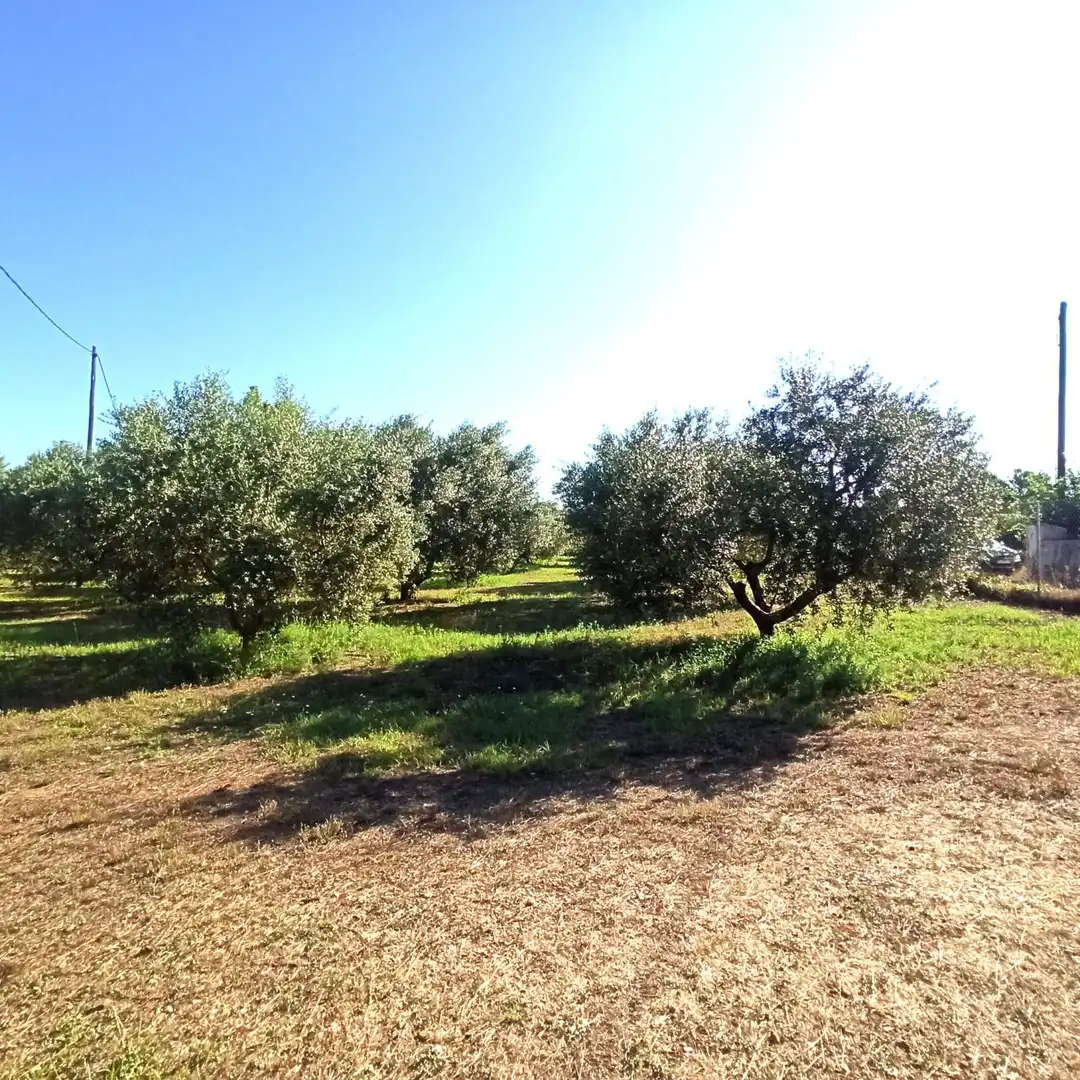 Finca rústica en venta en Reus