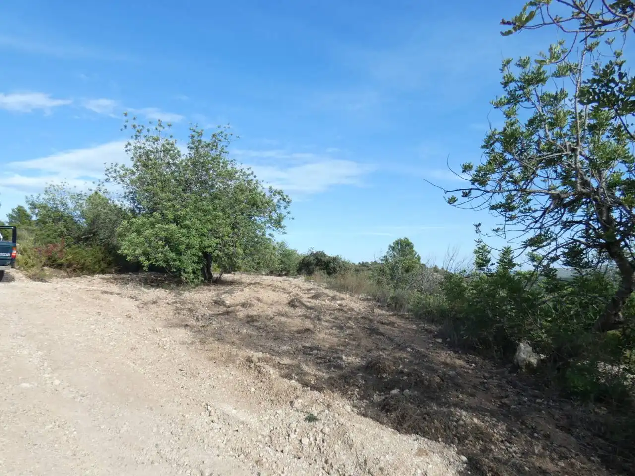 Rural land for sale in Calle POLIGONO 36   419