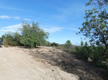 Rural land for sale in Calle POLIGONO 36   419