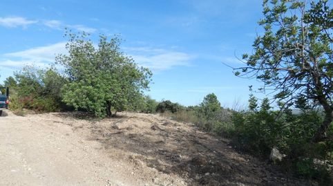 Terreno en venta en Cervera del Maestre!