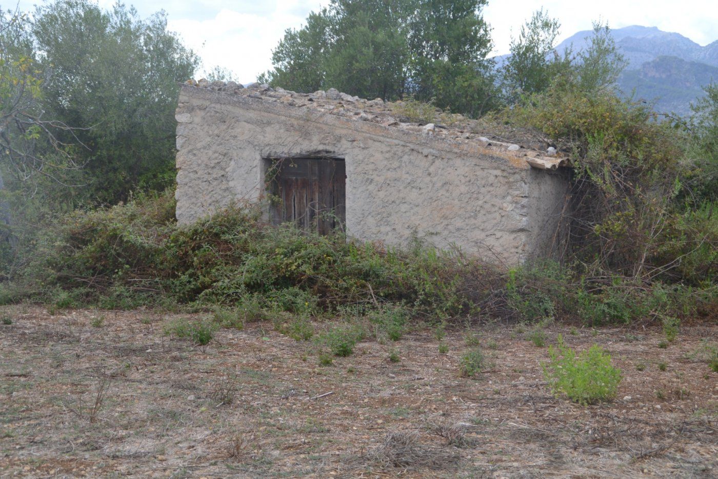 Finca rústica en venta en Campanet