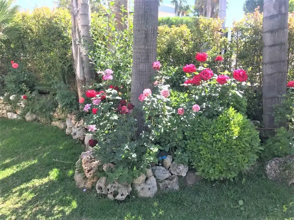 Jardí de Casa o xalet de lloguer en Marbella amb Aire condicionat, Calefacció i Jardí privat