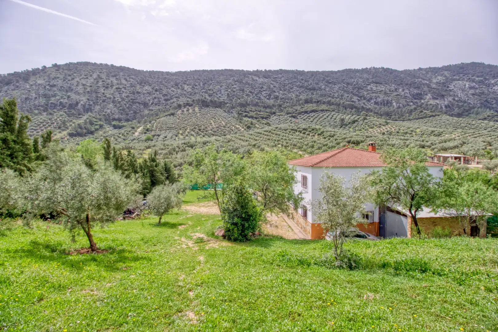 Casa o chalet en venta en Rute con Aire acondicionado, Calefacción y Terraza