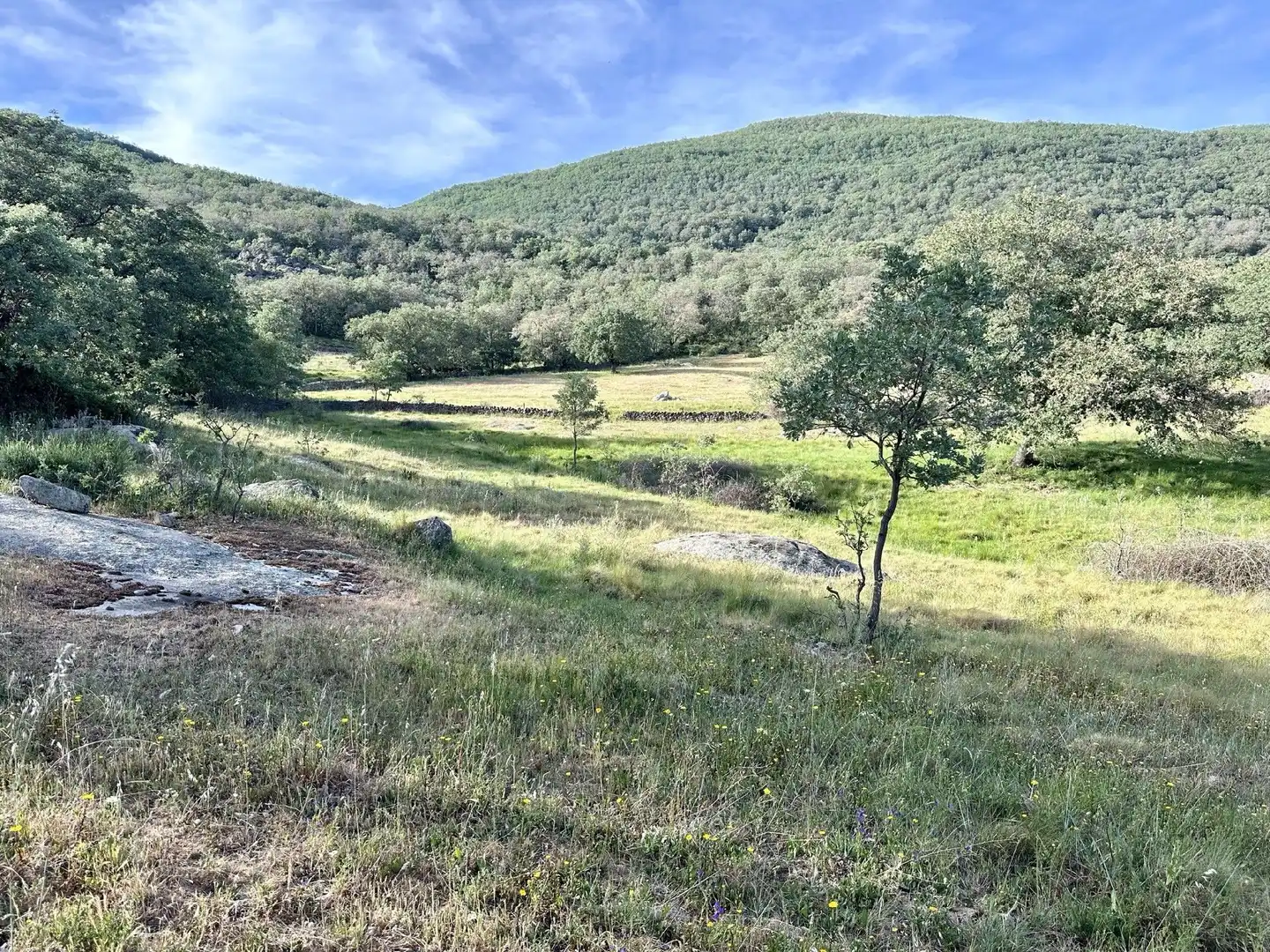 Terreni e lotti in vendita a Malpartida de Plasencia, imagen 7