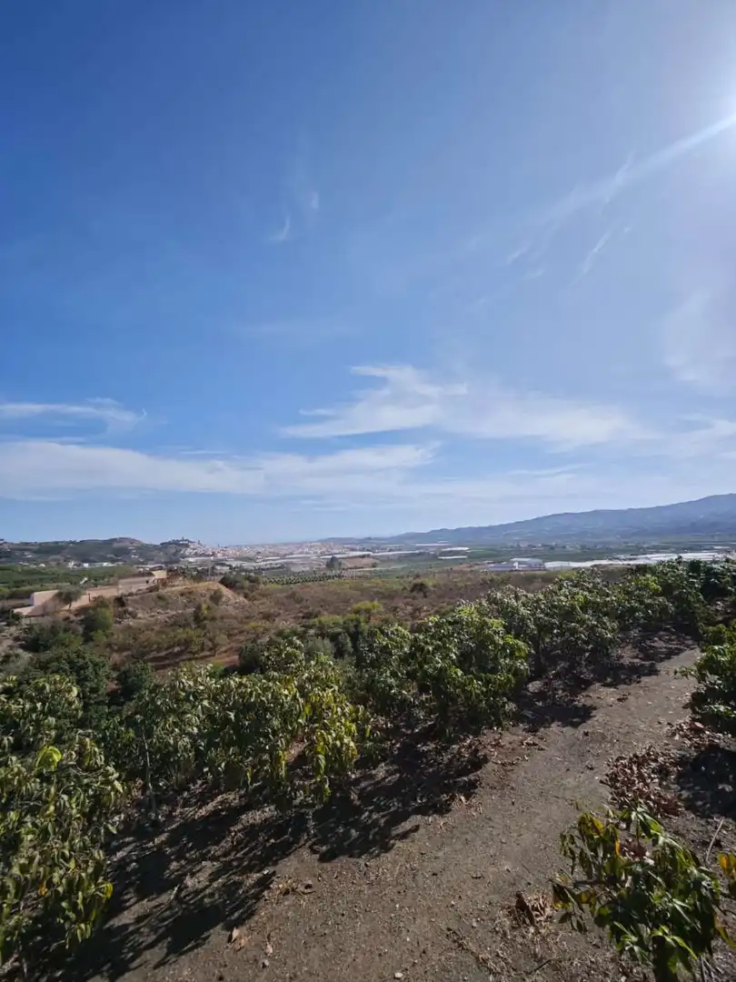 Country homes for sale in N/A, Norte - Barrio del Pilar - El Reñidero