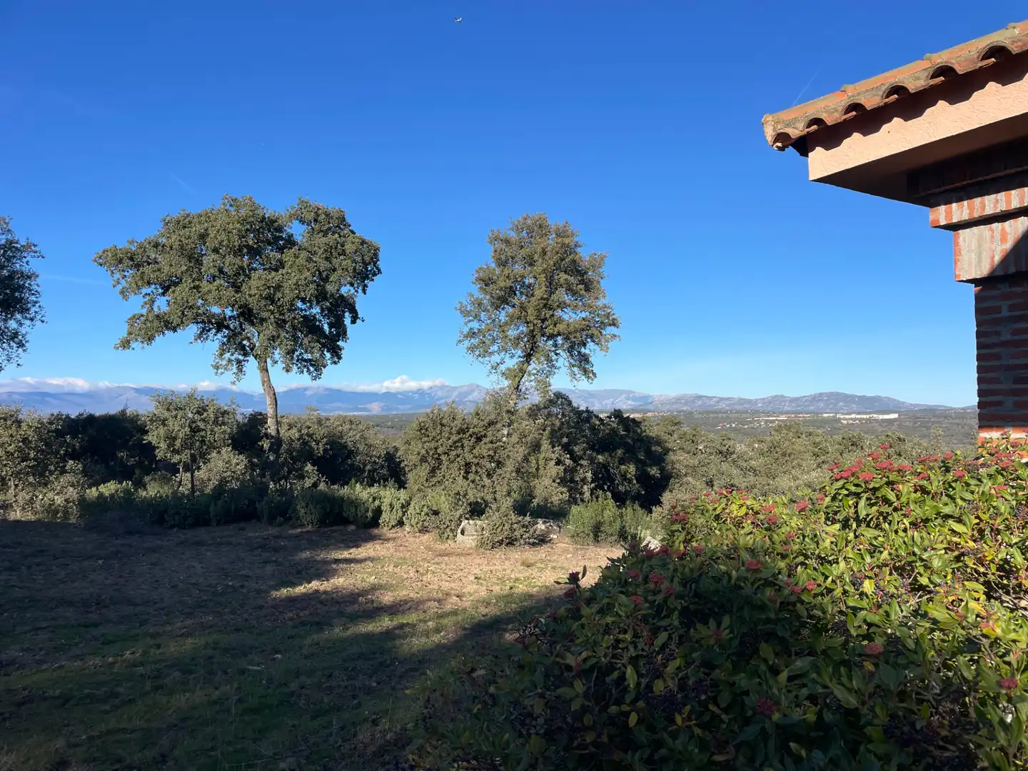 Villa con giardino in vendita a Pino Alto - Navarredonda, imagen 26