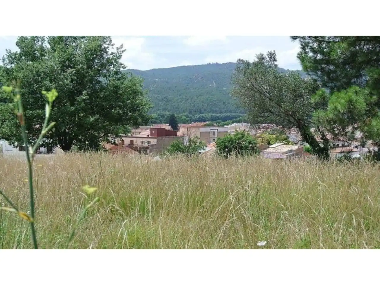 Terreno rustico in vendita a Sector MAS SERRA