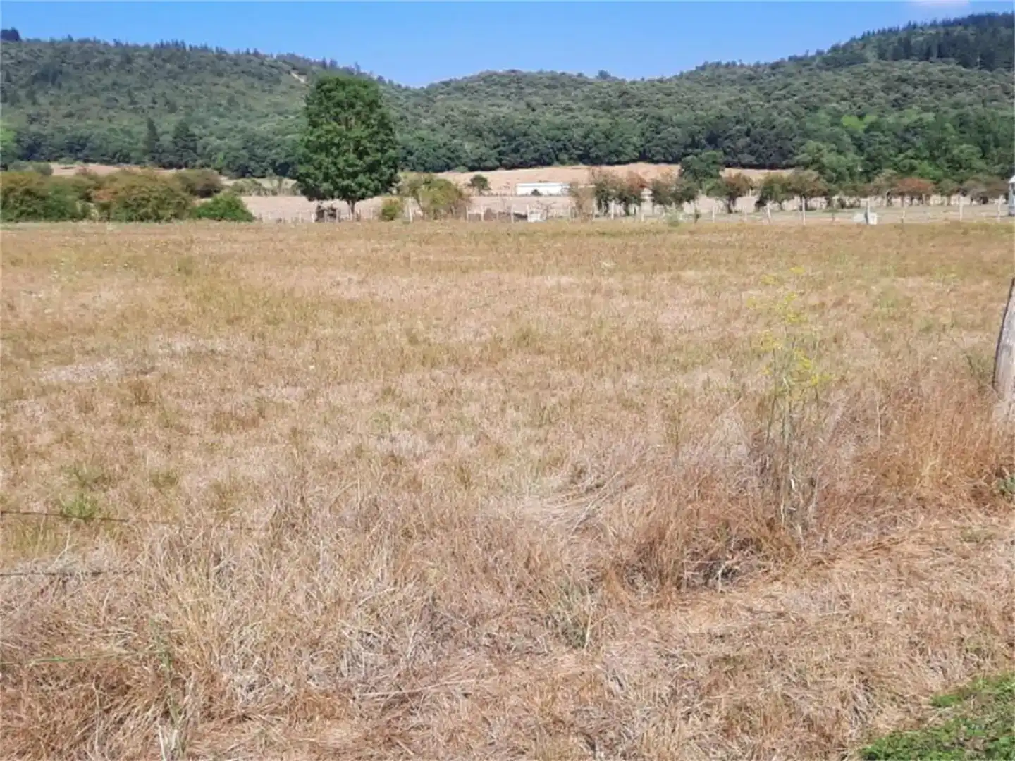 Finca rústica en venda en Valle de Mena