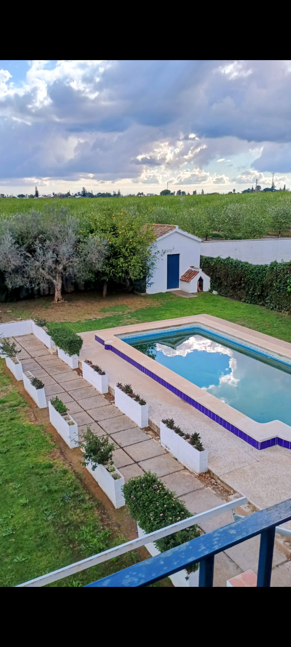 Piscina de Casa o chalet de alquiler en Espartinas con Amueblado y Se aceptan mascotas