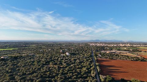 Foto 5 de Residencial en venta en Ses Salines Poble, Ses Salines