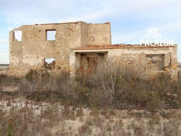 Terreno rustico in vendita a Crevillent