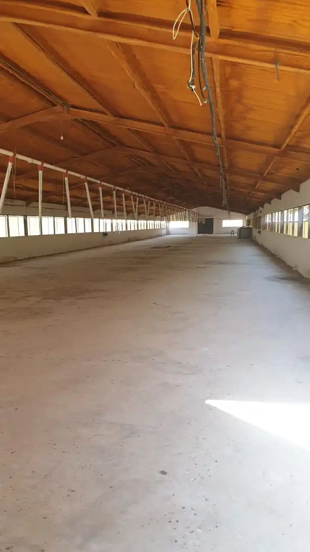 Industrial building to rent in Arriate, imagen 2