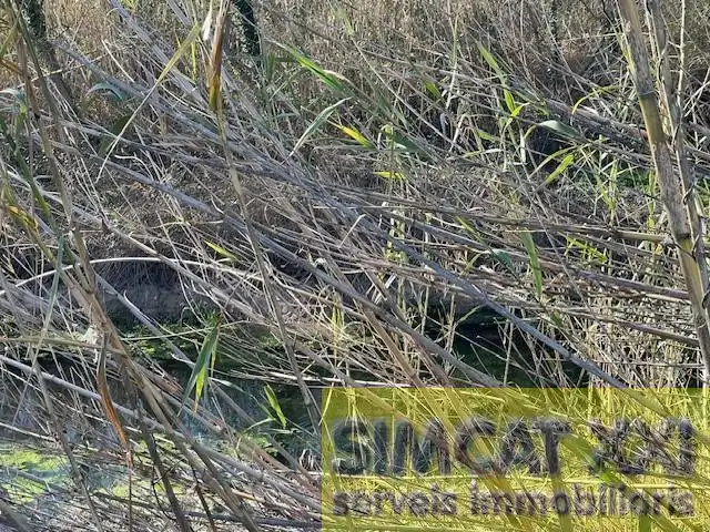 Terrenys i solars en venda a Cabanes, imagen 10
